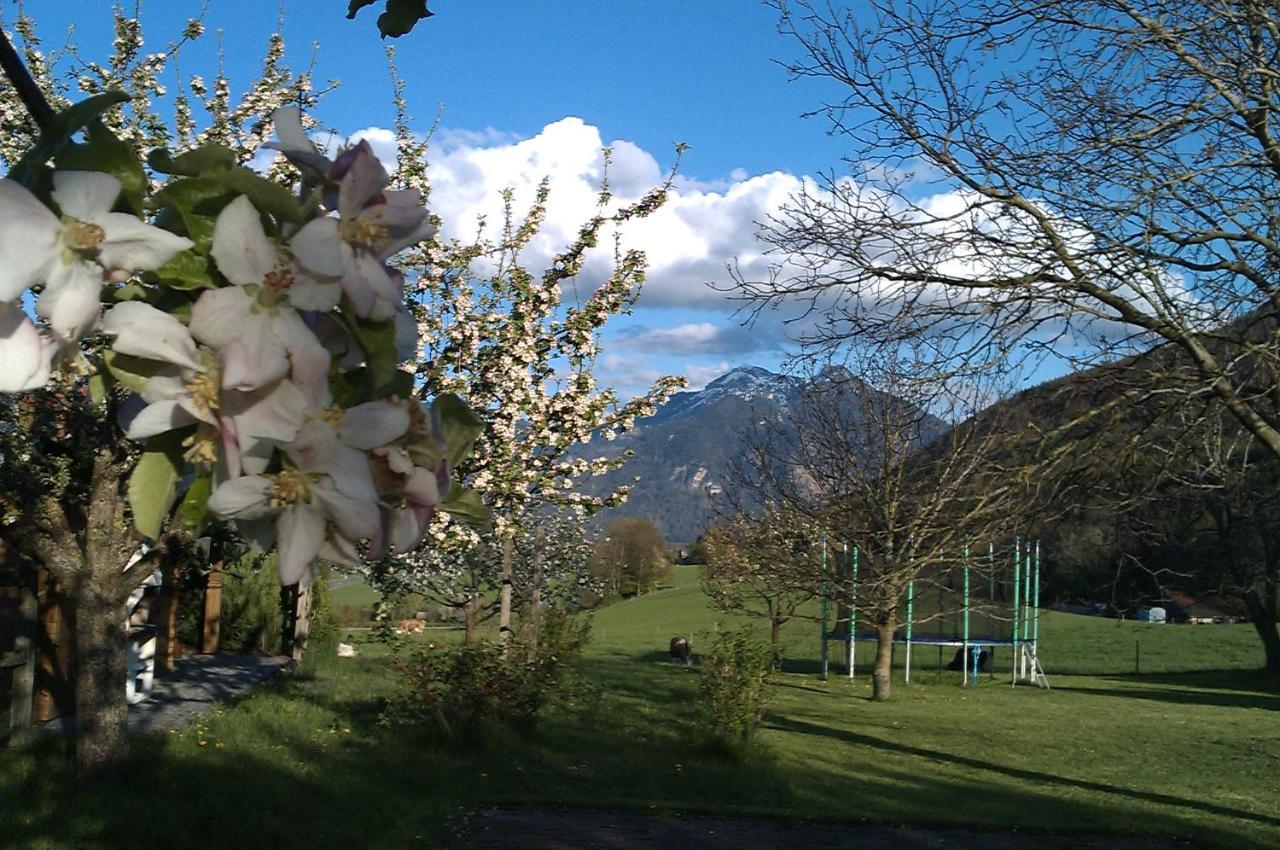 Hoderhof Lejlighed Grassau  Eksteriør billede